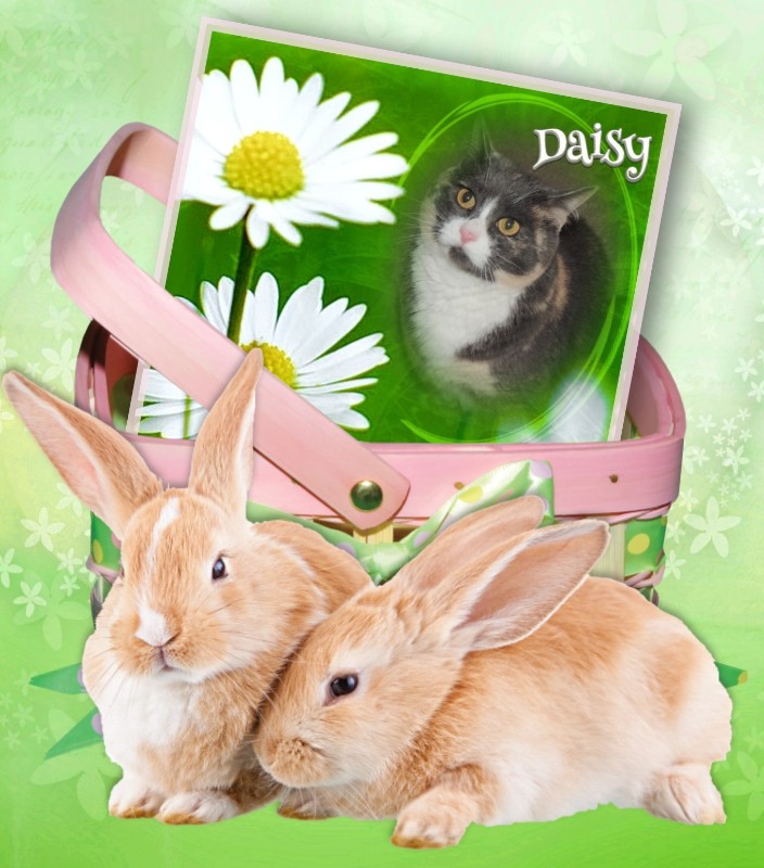 Blanche uploaded   20  day/s  ago