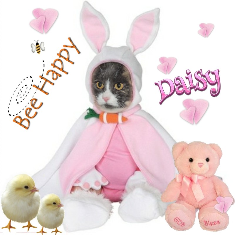 Blanche uploaded   8  day/s  ago