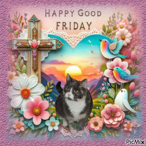 Blanche uploaded   9  day/s  ago