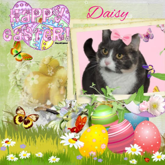 Daisy of the Blanche family