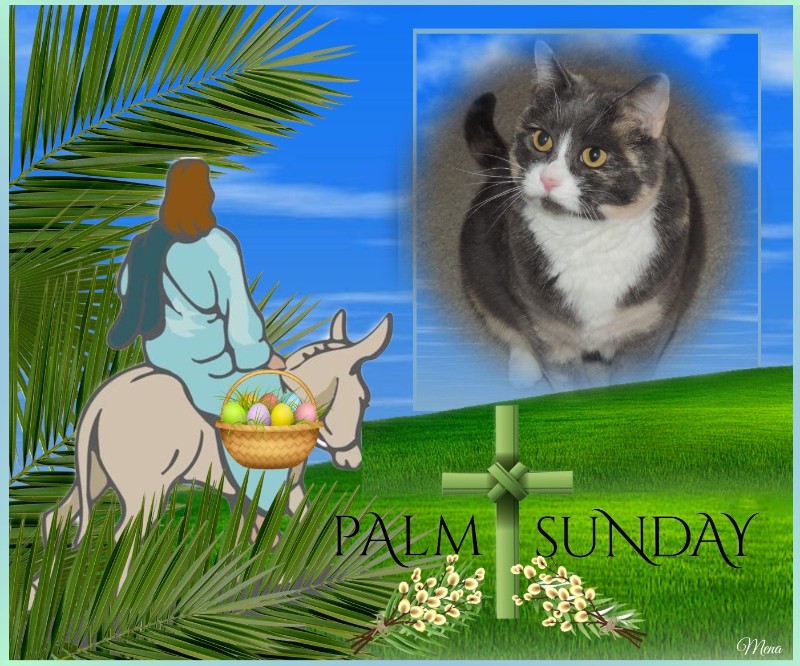 Blanche uploaded   15  day/s  ago