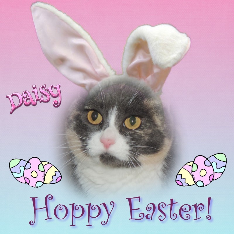 Blanche uploaded   20  day/s  ago