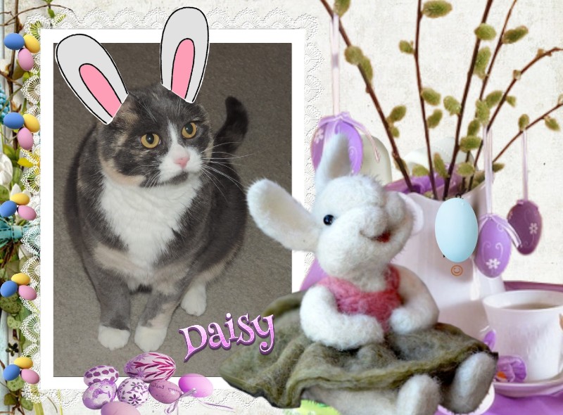 Blanche uploaded   10  day/s  ago