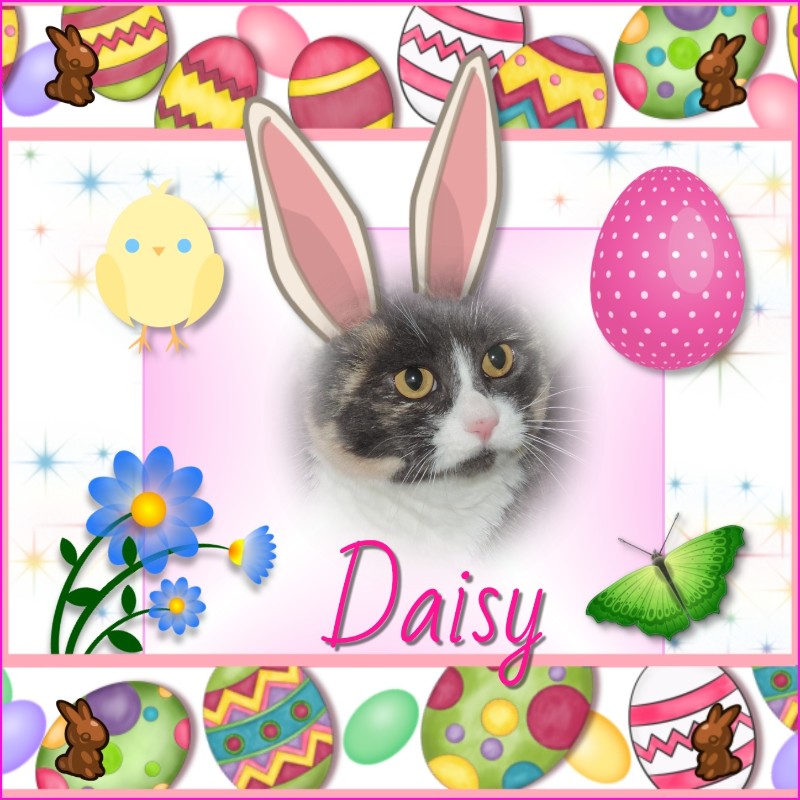 Blanche uploaded   23  day/s  ago