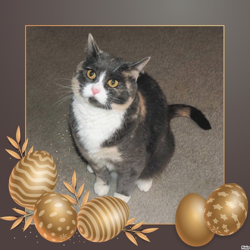 Blanche uploaded   13  day/s  ago