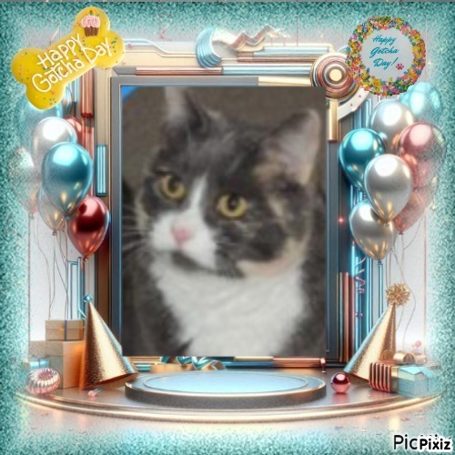 Blanche uploaded   21 hour/s ago