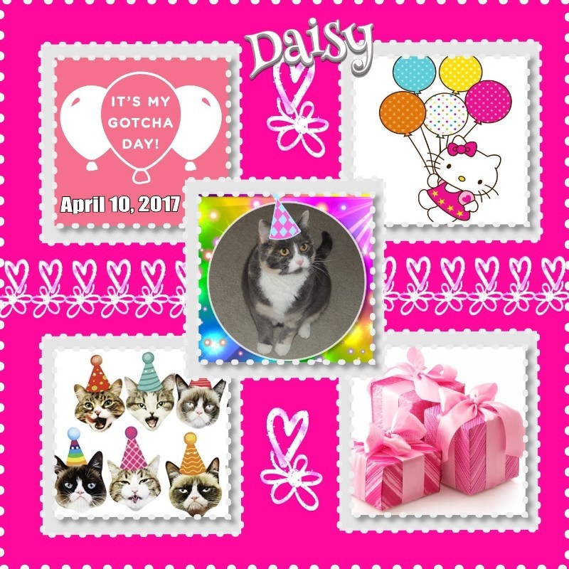 Blanche uploaded   21 hour/s ago