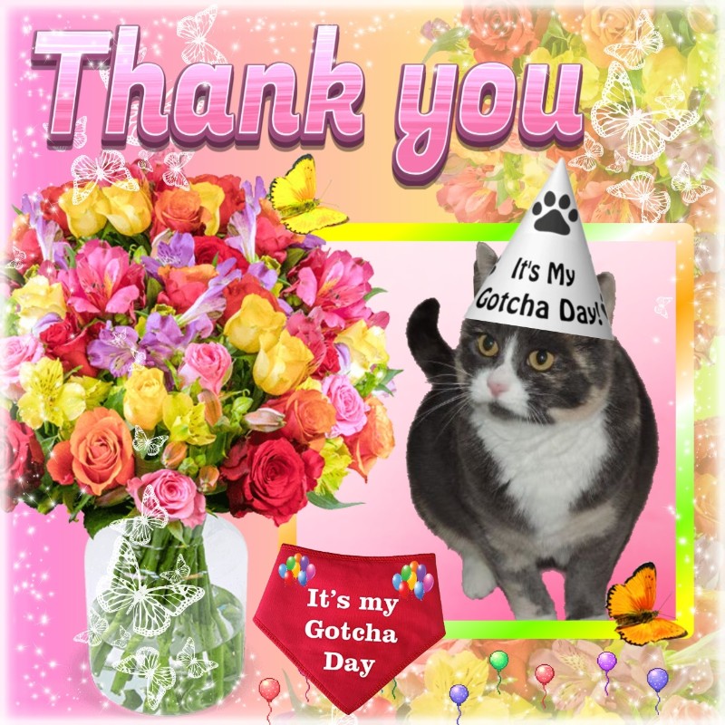 Daisy of the Blanche family