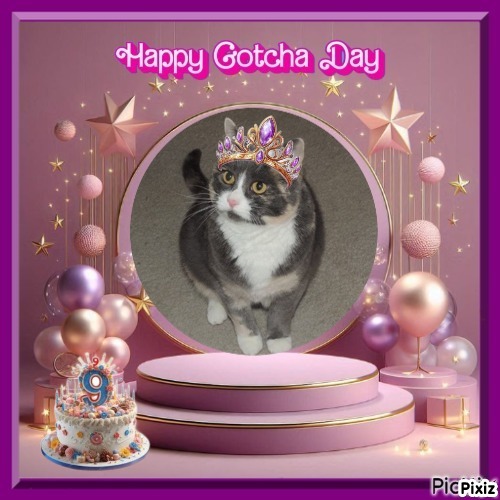 Daisy of the Blanche family