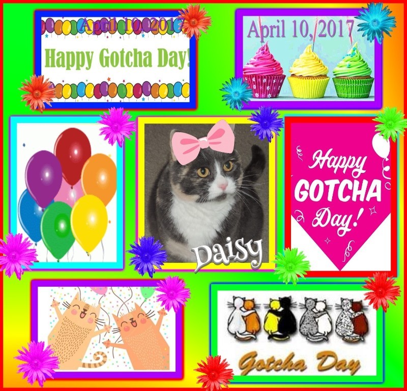 Blanche uploaded   13 hour/s ago