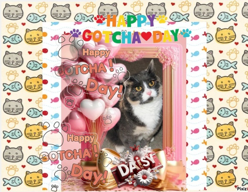 Daisy of the Blanche family