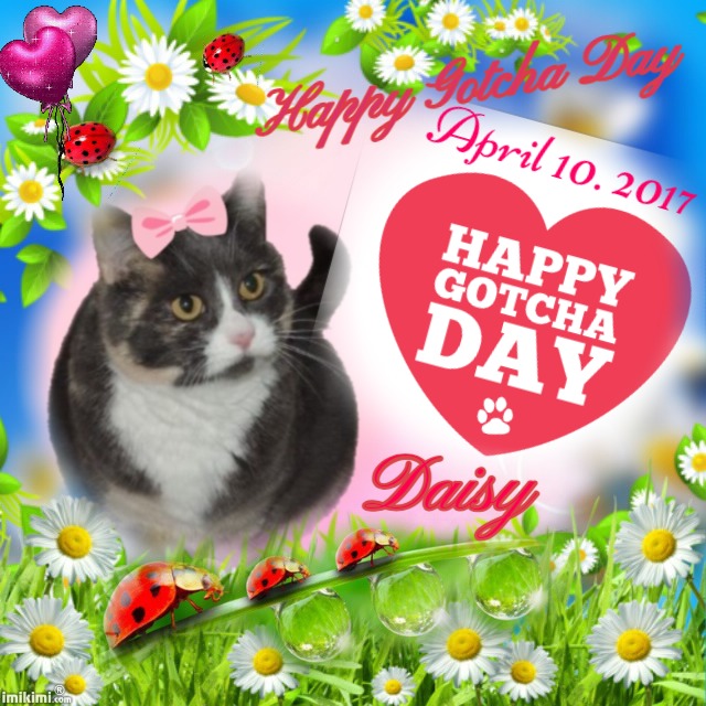 Daisy of the Blanche family