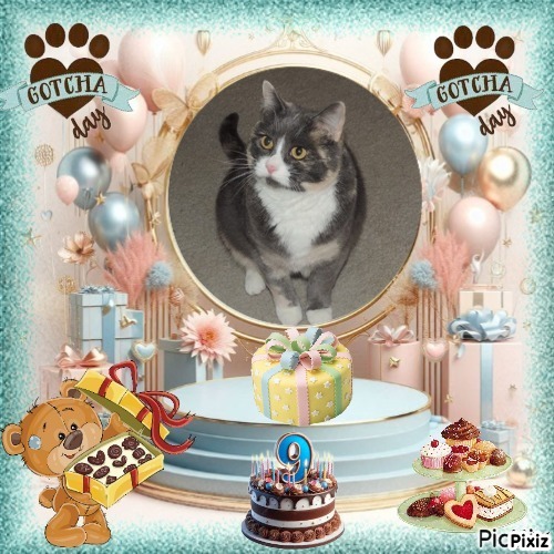 Blanche uploaded   21 hour/s ago