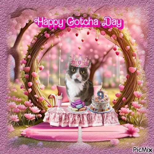 Blanche uploaded   21 hour/s ago