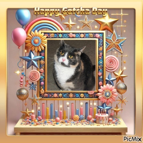 Blanche uploaded   15 hour/s ago