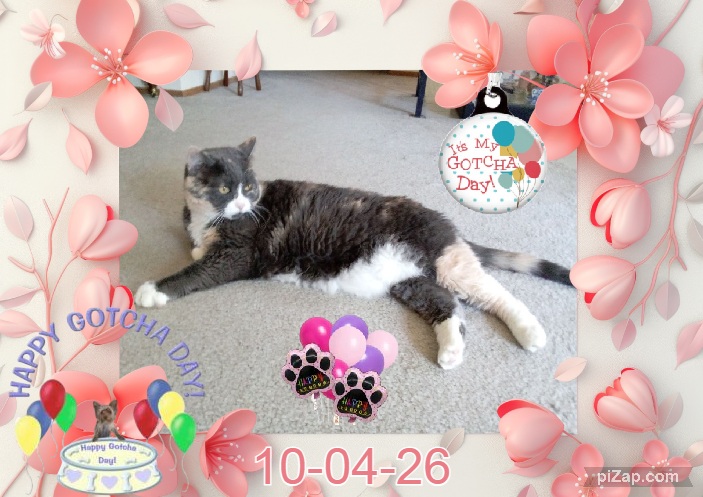 Daisy of the Blanche family