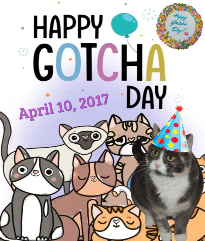 Daisy of the Blanche family