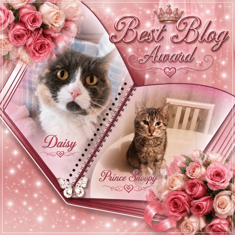 Daisy of the Blanche family