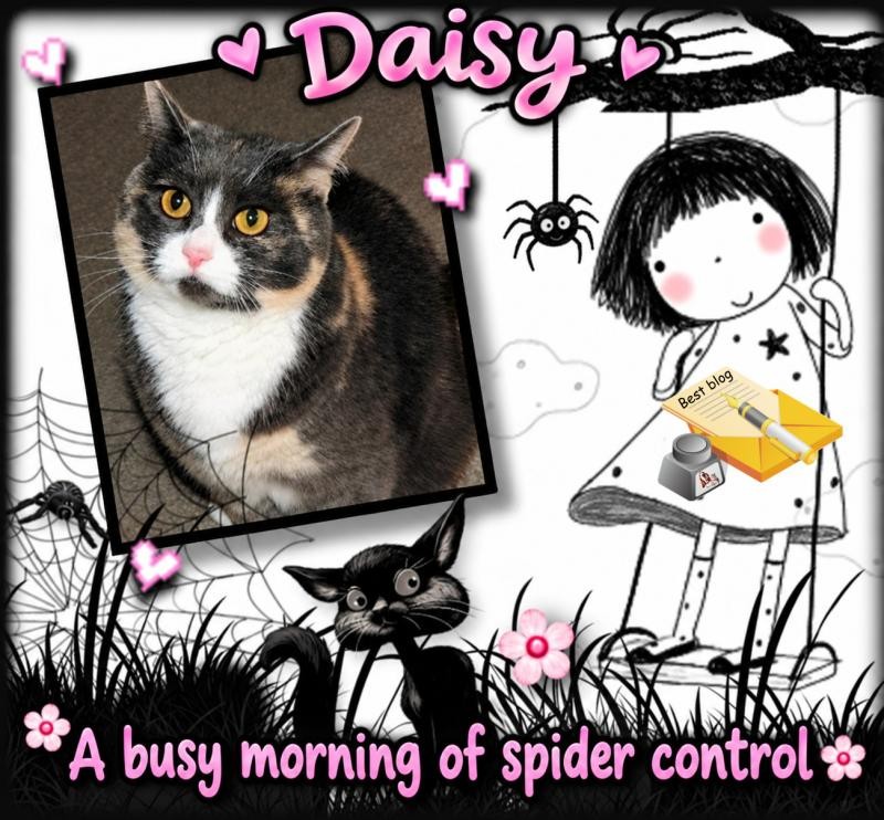 Daisy of the Blanche family
