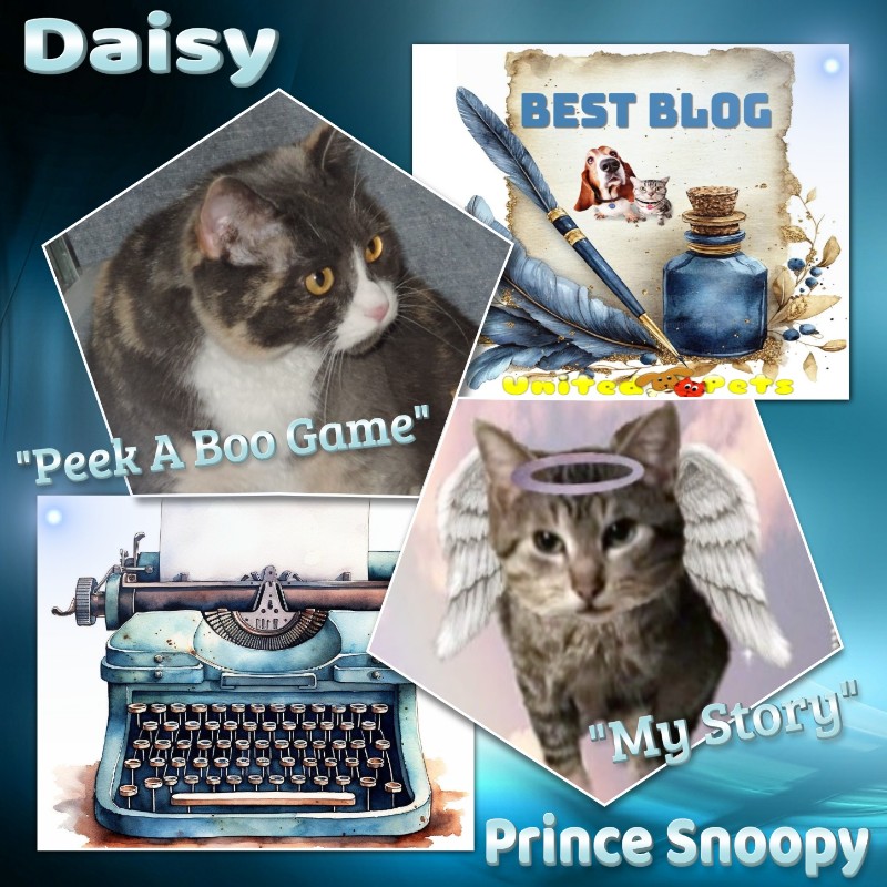 Daisy of the Blanche family