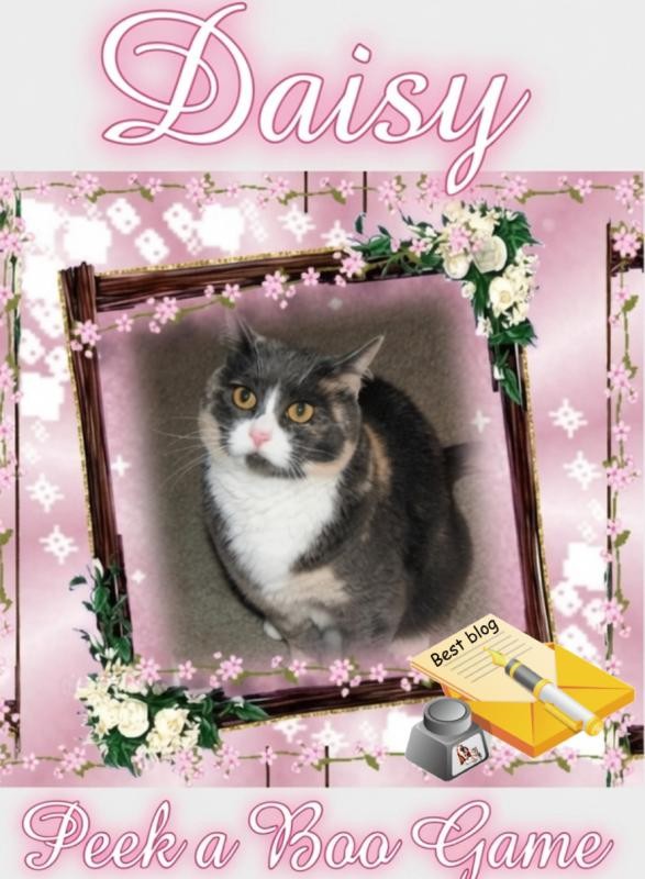 Daisy of the Blanche family