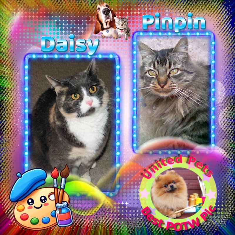 Daisy of the Blanche family