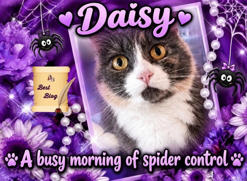 Daisy of the Blanche family