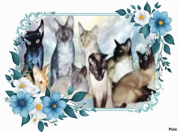 My Angels of the Blanche family