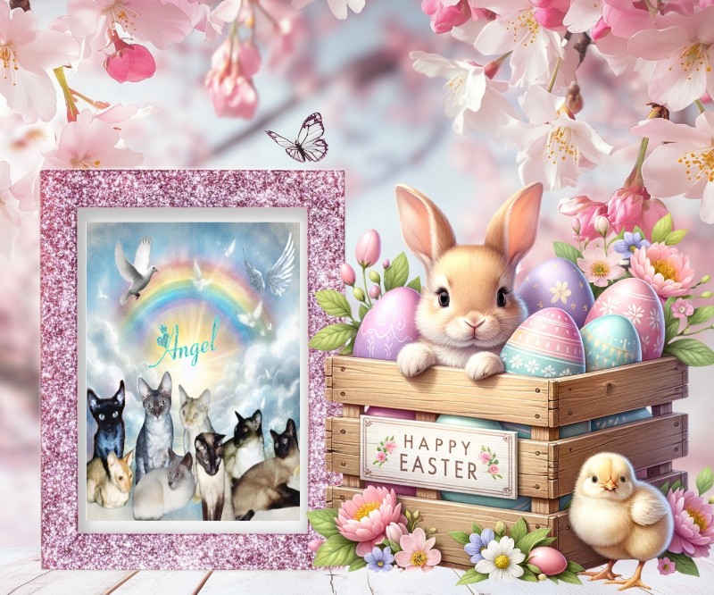 Blanche uploaded   26  day/s  ago