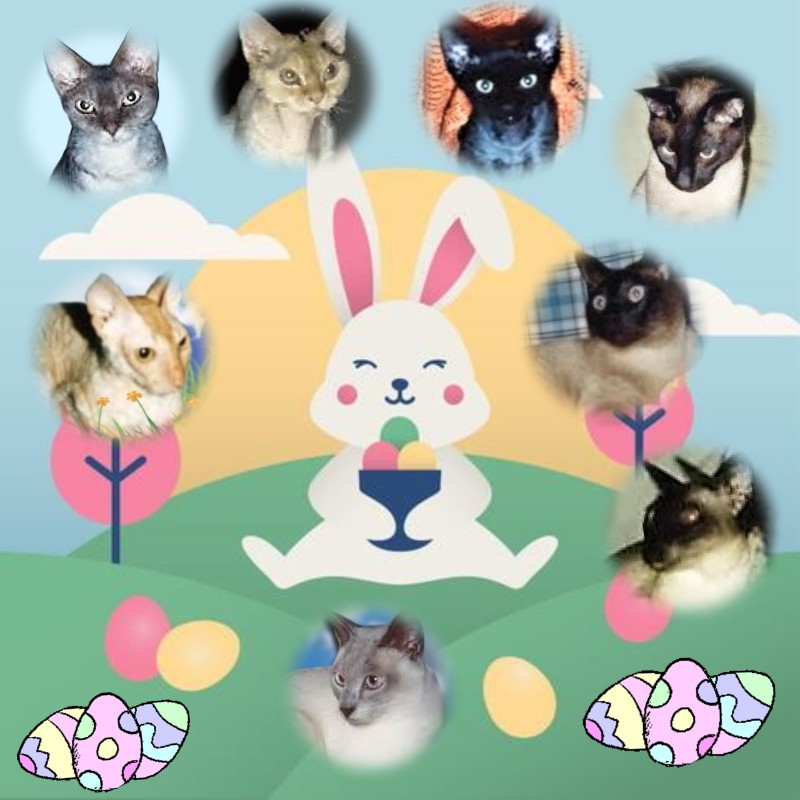 Blanche uploaded   13  day/s  ago