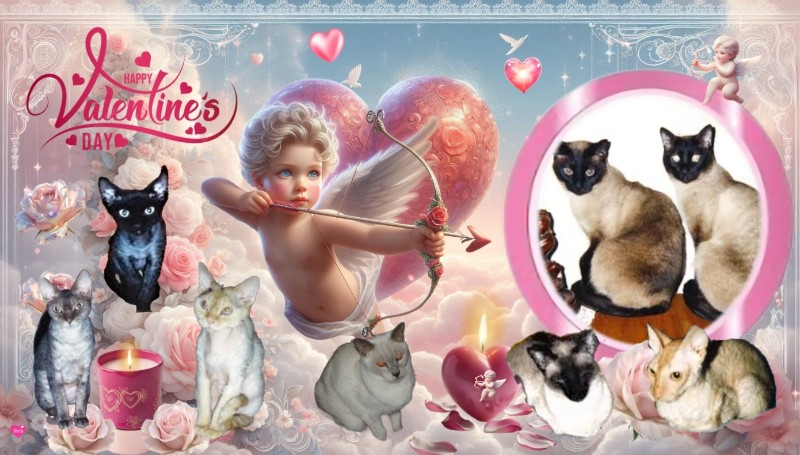 Blanche uploaded   71  day/s  ago