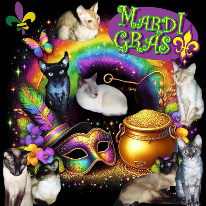 Blanche uploaded   90  day/s  ago