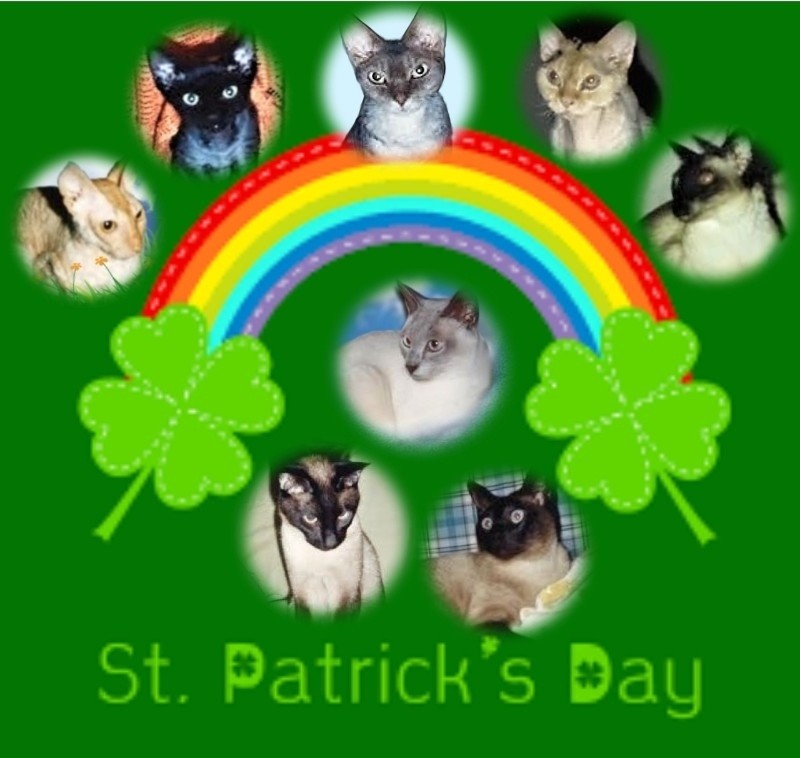 Blanche uploaded   52  day/s  ago