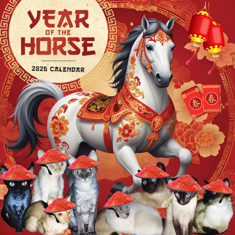 Blanche uploaded   90  day/s  ago