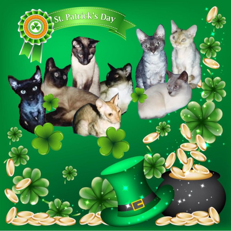 Blanche uploaded   45  day/s  ago