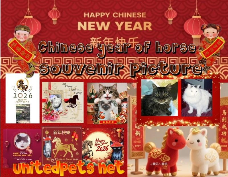 Blanche uploaded   80  day/s  ago