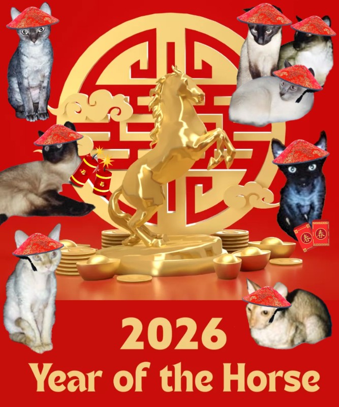 Blanche uploaded   93  day/s  ago