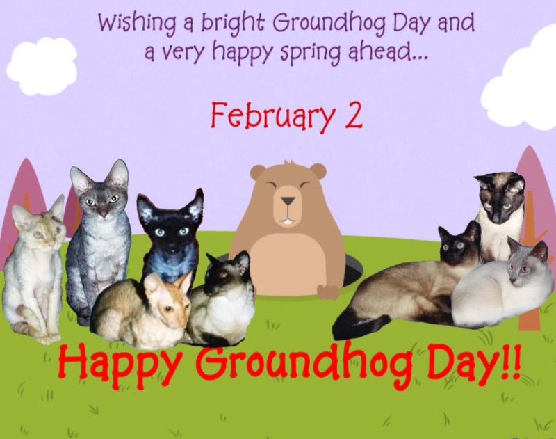 Blanche uploaded   85  day/s  ago