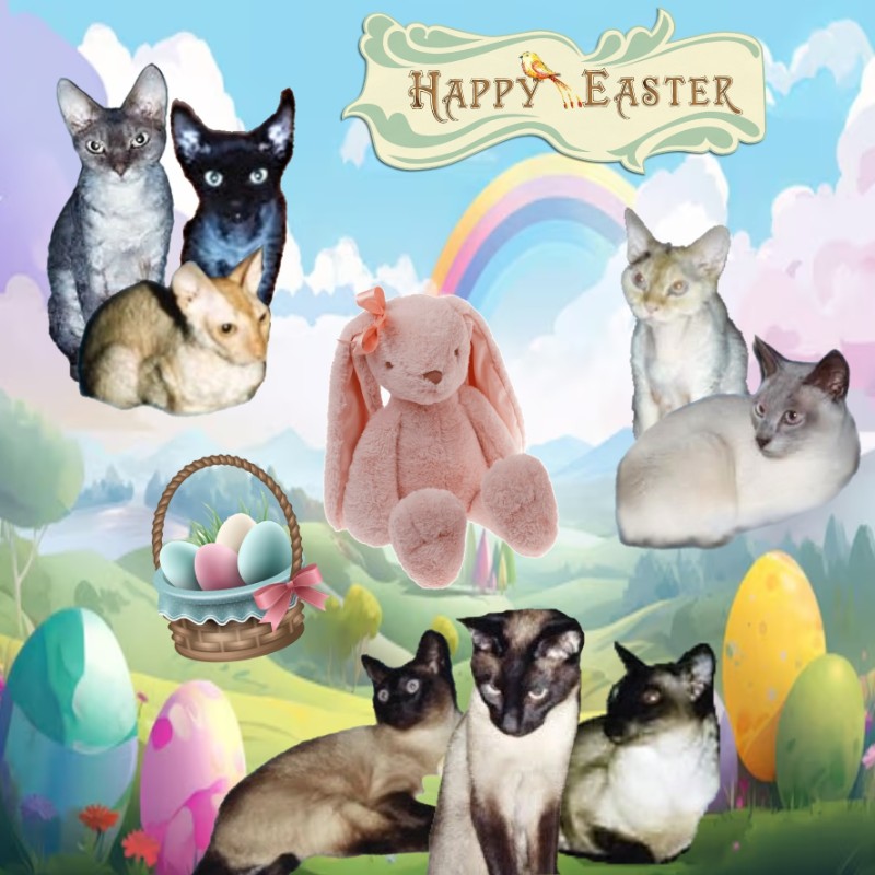 Blanche uploaded   10  day/s  ago