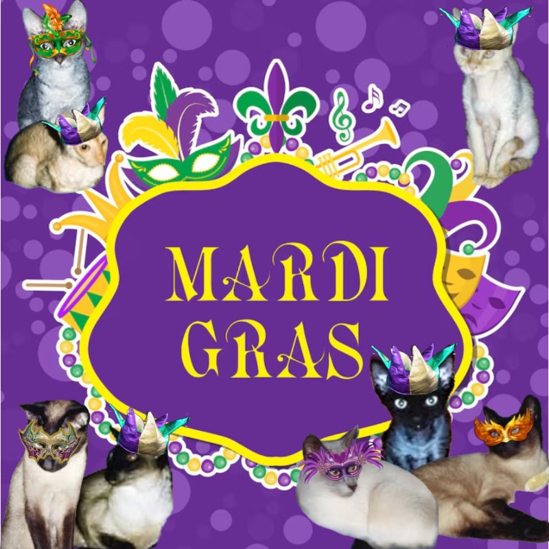 Blanche uploaded   93  day/s  ago