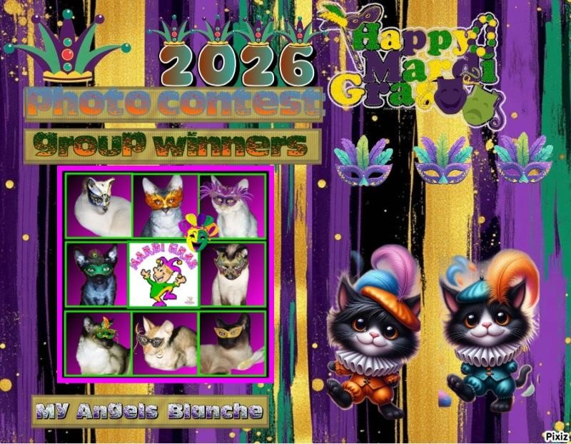 Blanche uploaded   81  day/s  ago