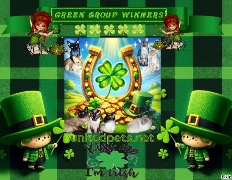 Blanche uploaded   30  day/s  ago