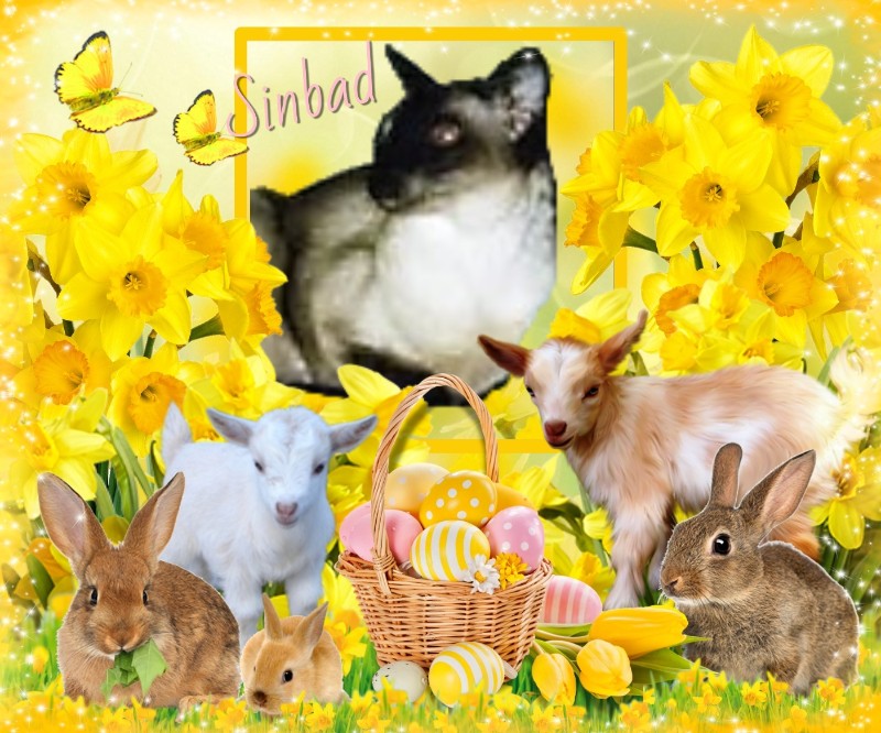 Blanche uploaded   23  day/s  ago