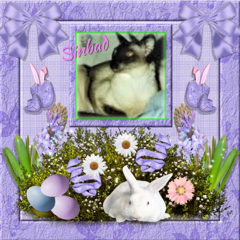 Blanche uploaded   8  day/s  ago