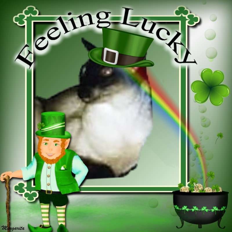 Blanche uploaded   55  day/s  ago