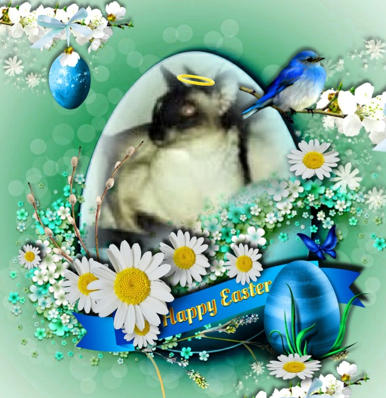 Blanche uploaded   8  day/s  ago