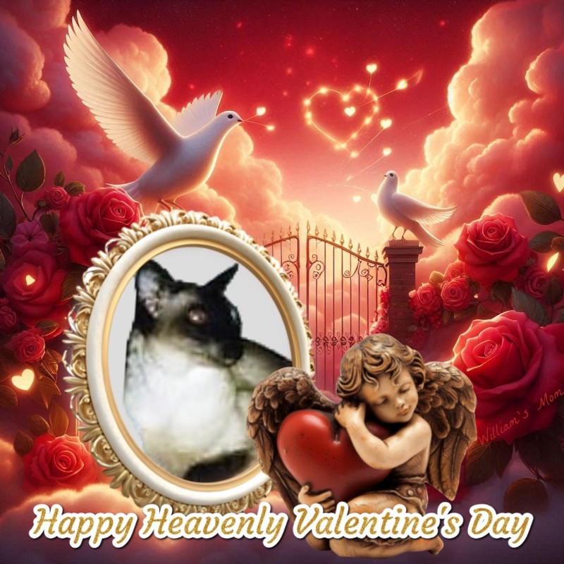 Blanche uploaded   86  day/s  ago