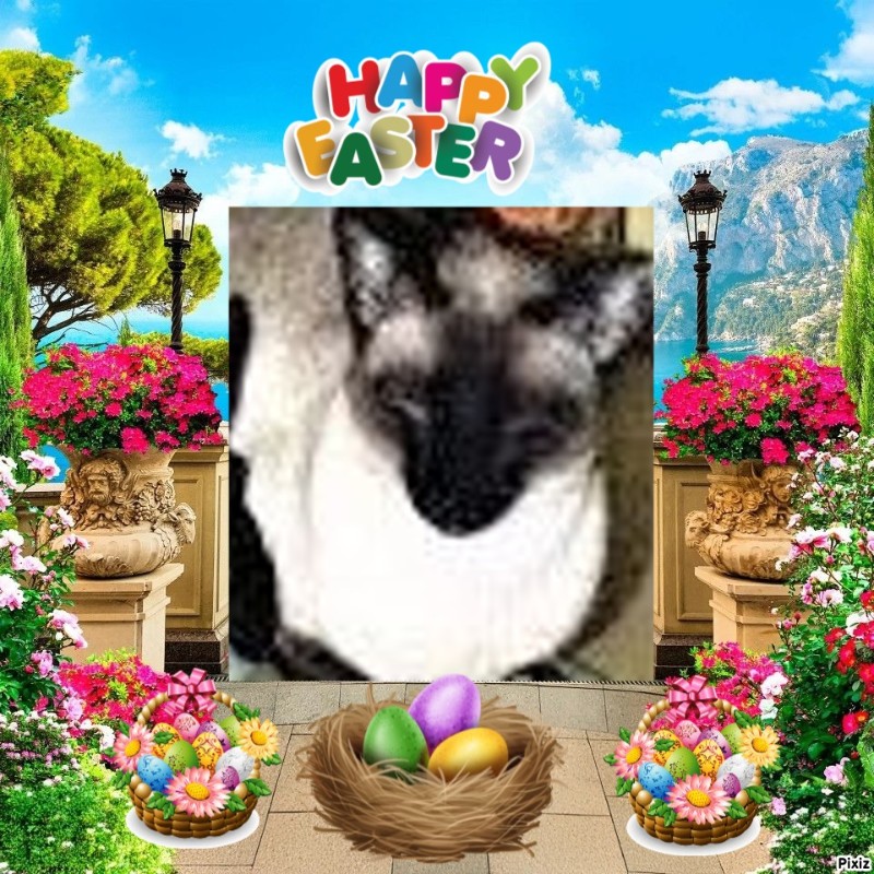 Blanche uploaded   7  day/s  ago