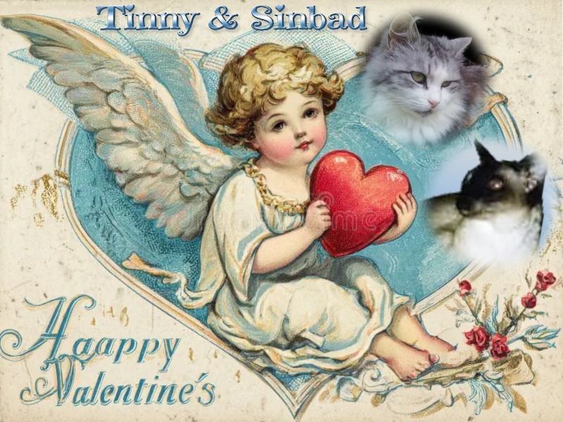 Blanche uploaded   82  day/s  ago