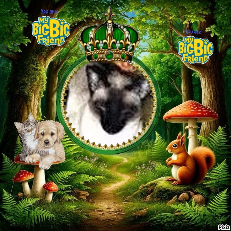 My Angels of the Blanche family